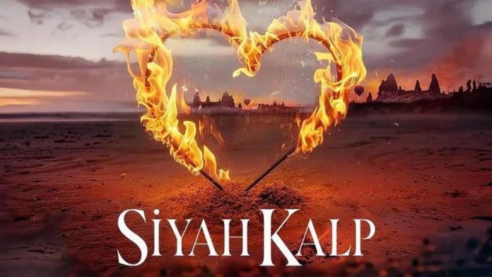 Why Did the Director of 'Siyah Kalp' Exit the Show