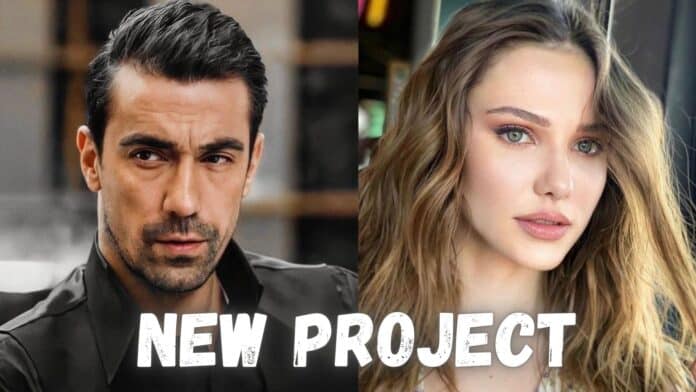Alina Boz New project