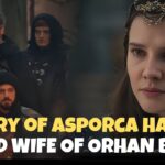 Episode 8 Breakdown: Orhan Bey’s Capture & Flavius’ Truth Episode 8 Breakdown: Orhan Bey’s Capture & Flavius’ Truth