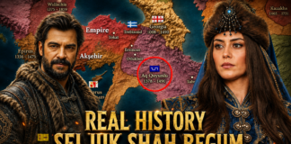 Seljuk Shah Begum: The Ruthless Queen Behind Uzun Hasan’s Throne Seljuk Shah Begum: The Ruthless Queen Behind Uzun Hasan’s Throne