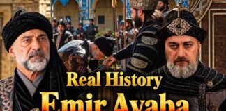 The Real History of Emir Ayaba in Aşk ve Taht The Real History of Emir Ayaba in Aşk ve Taht